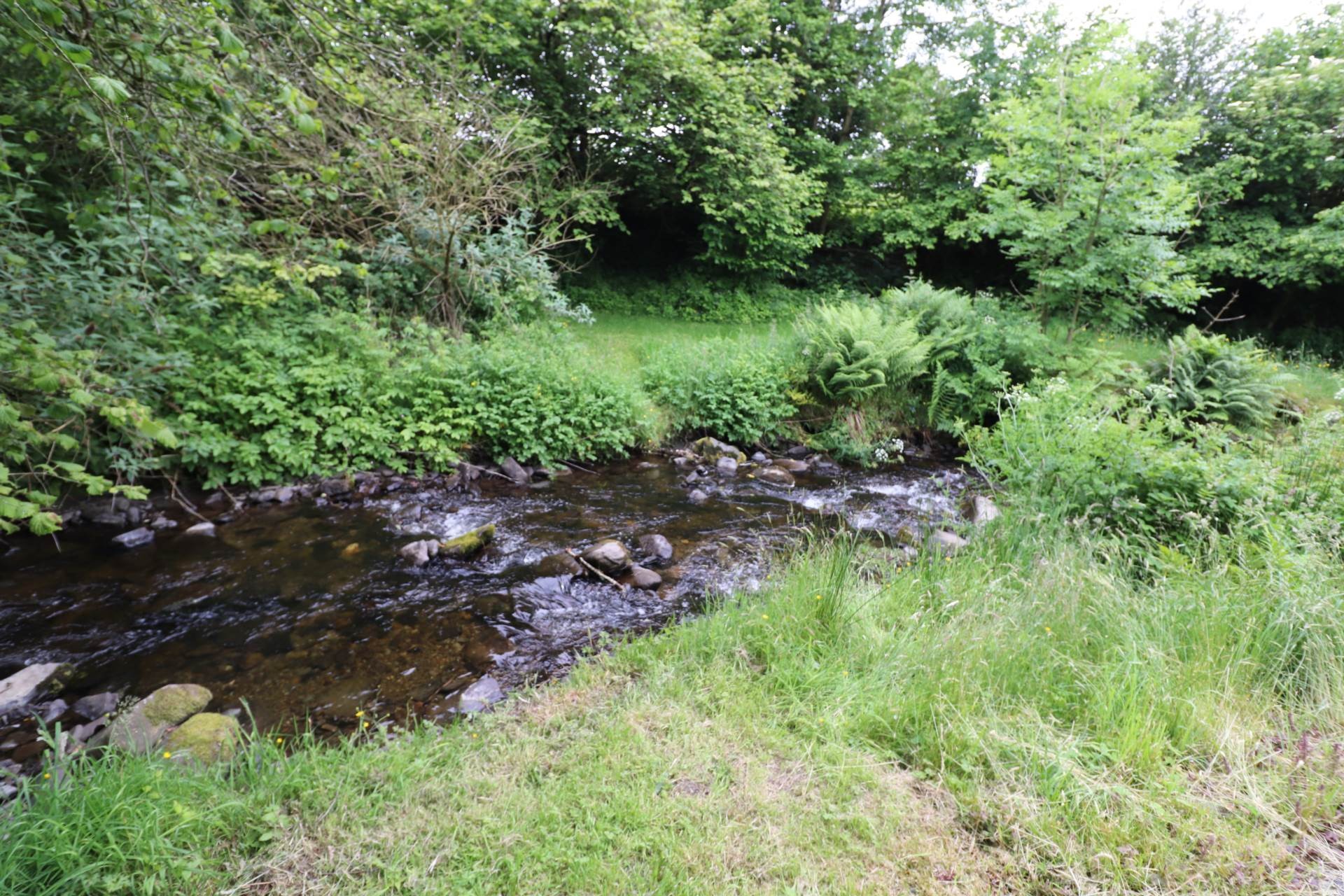 Cwmcarfan, Llanddewi Road image 26