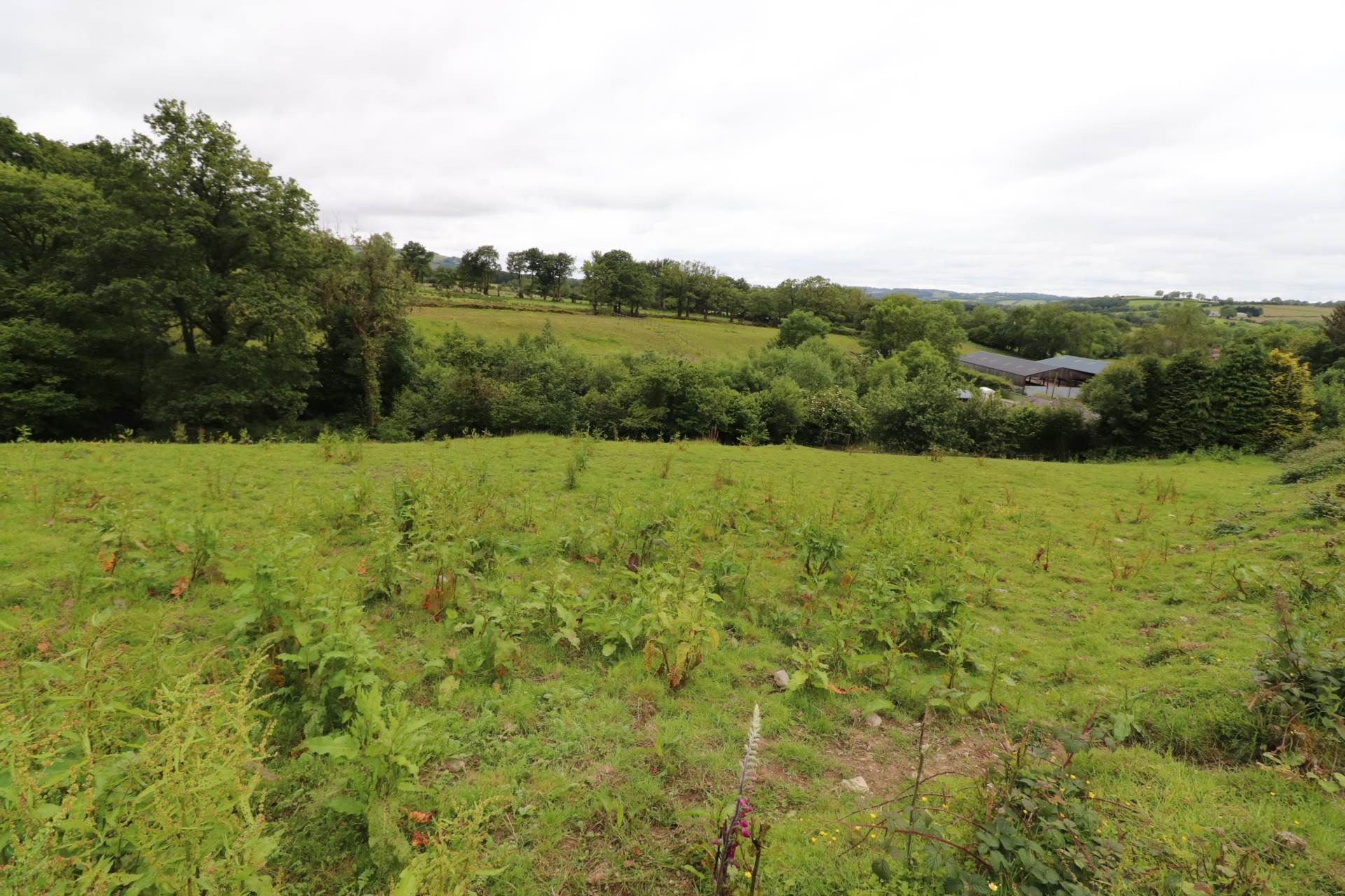 Cwmcarfan, Llanddewi Road image 27