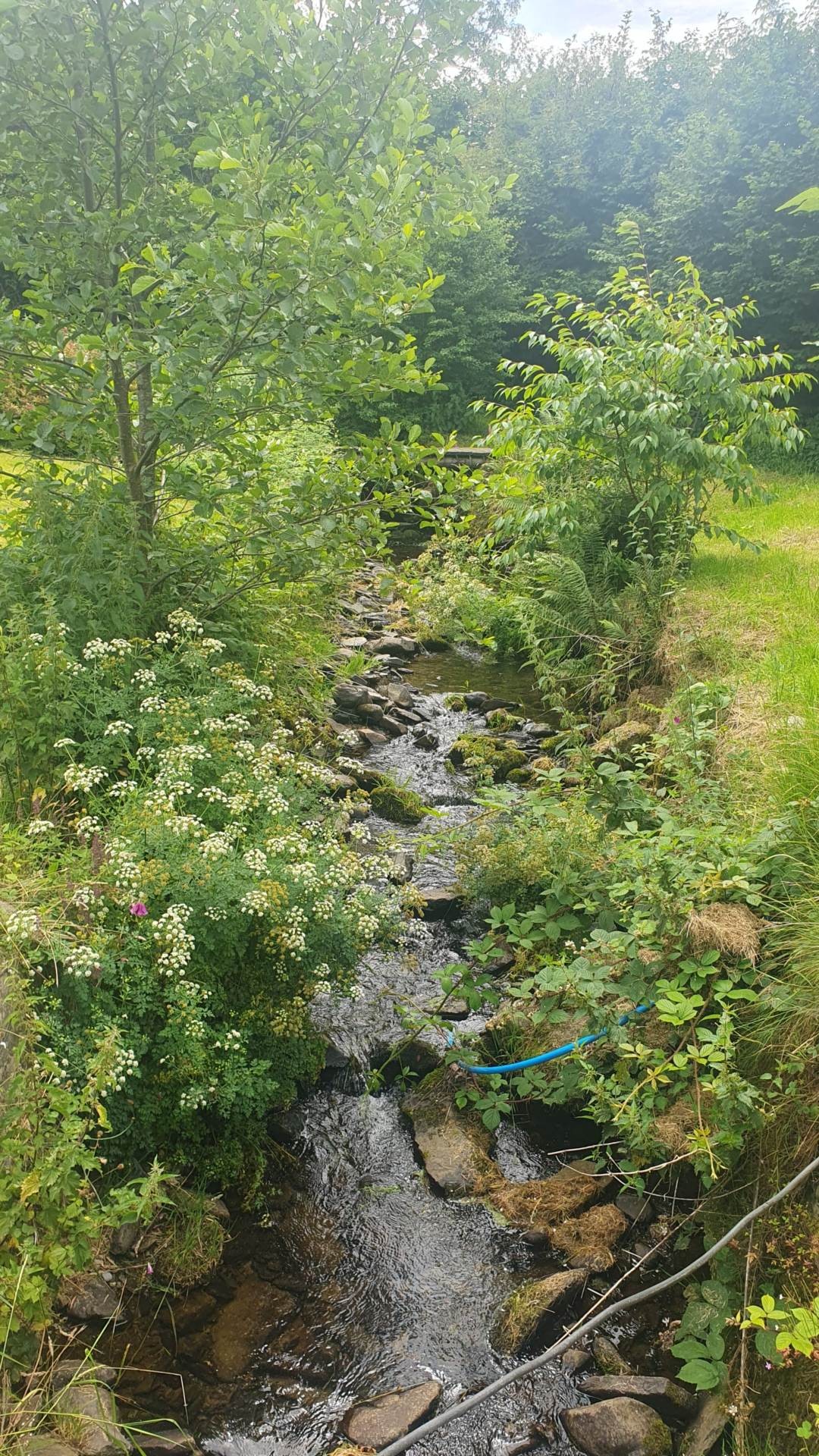 Cwmcarfan, Llanddewi Road image 37