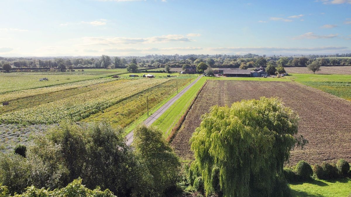 Coniscliffe Road, Darlington, DL3 image 17