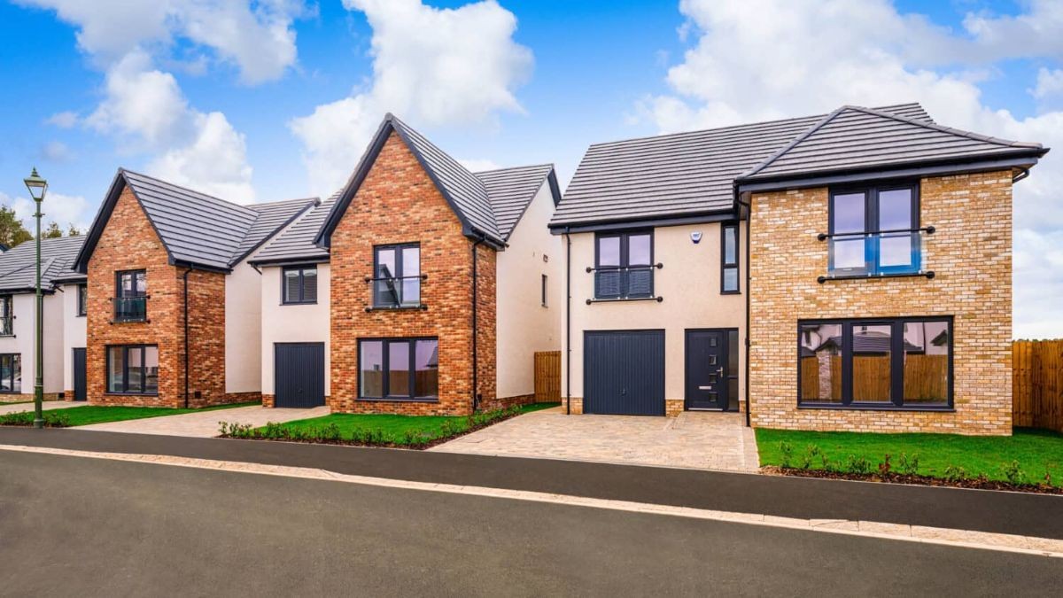 Wynyard Woods, Wynyard, TS22 image 11