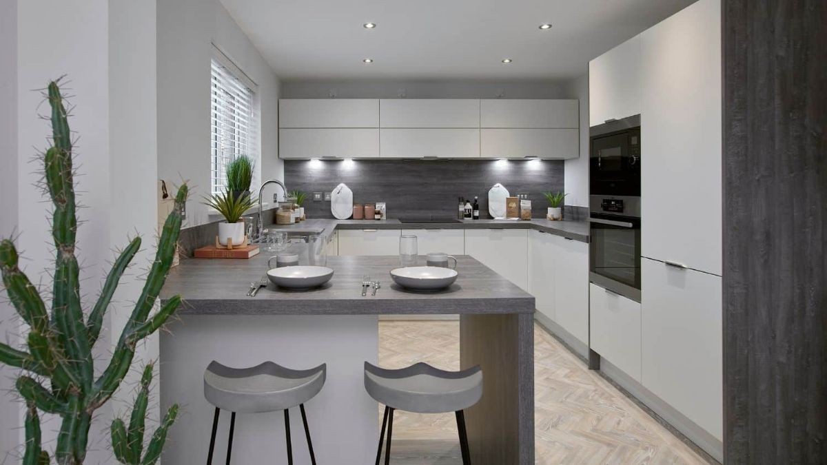 Wynyard Woods, Wynyard, TS22 image 3