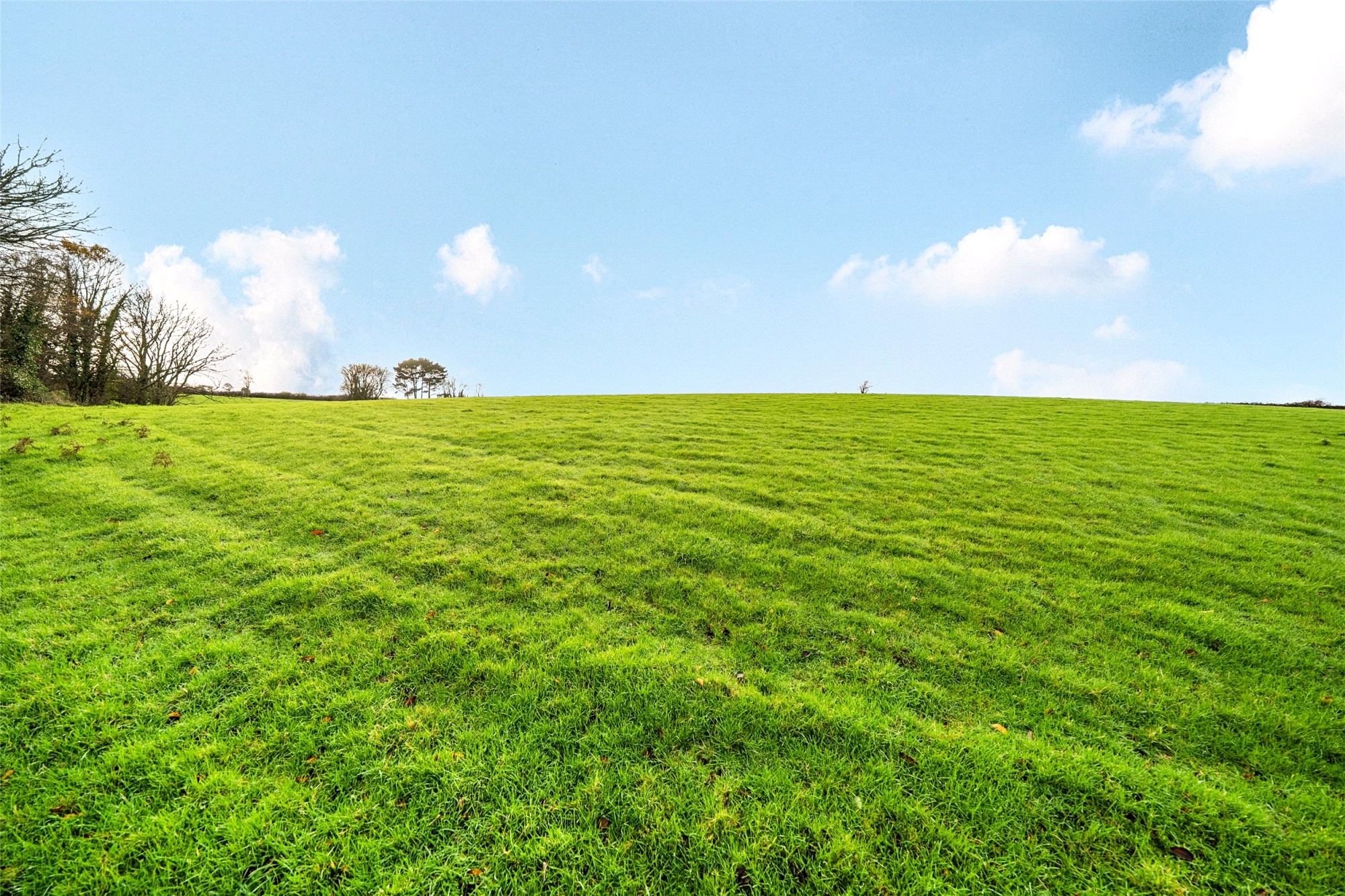 Polmear Hill, Nr Fowey, Cornwall image 17