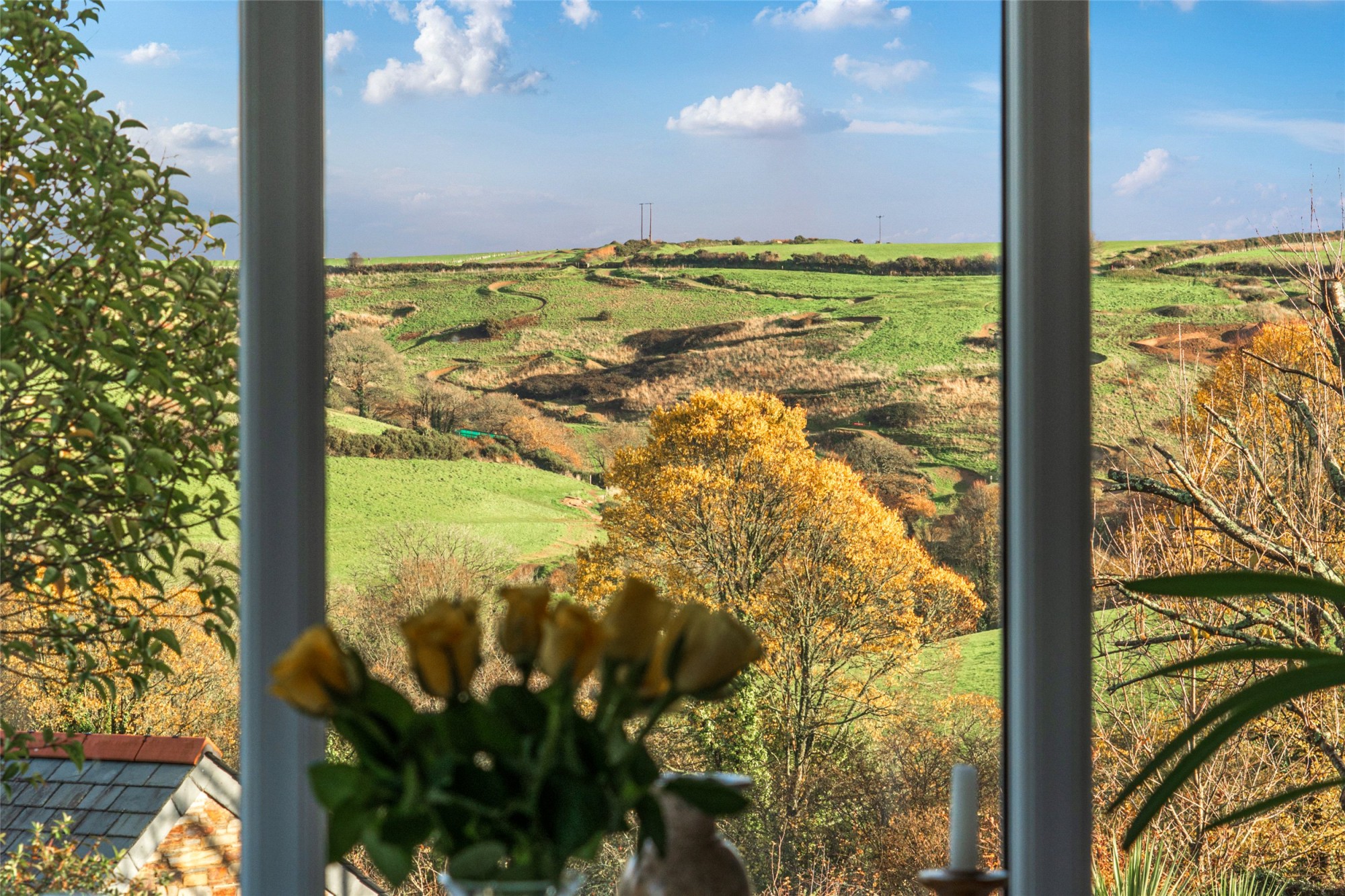 Polmear Hill, Nr Fowey, Cornwall image 21
