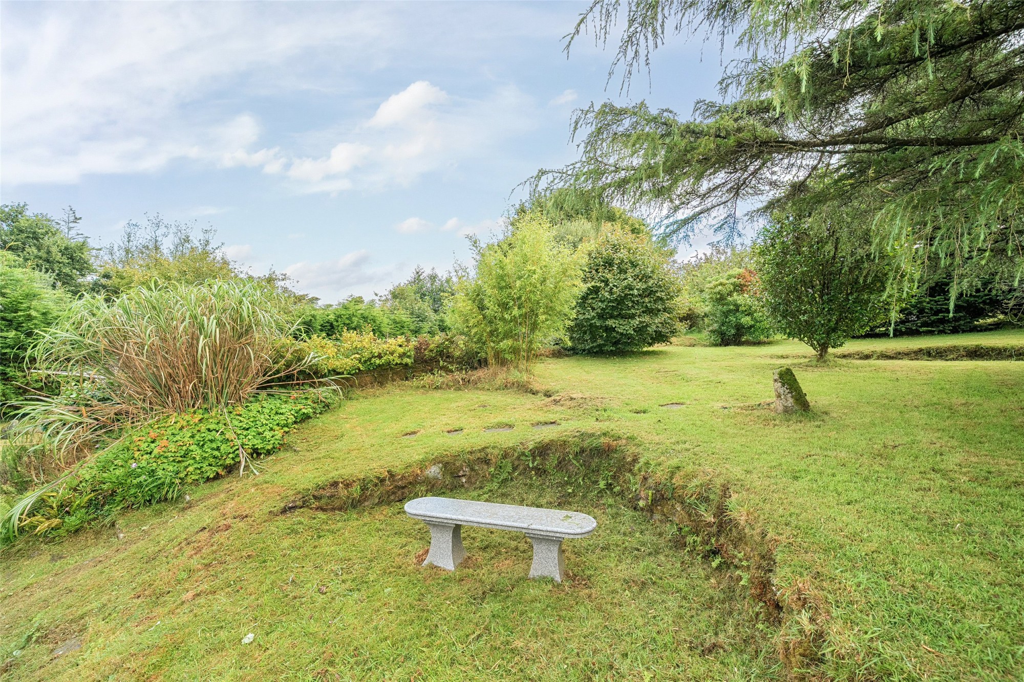Warleggan, Mount, Bodmin image 20