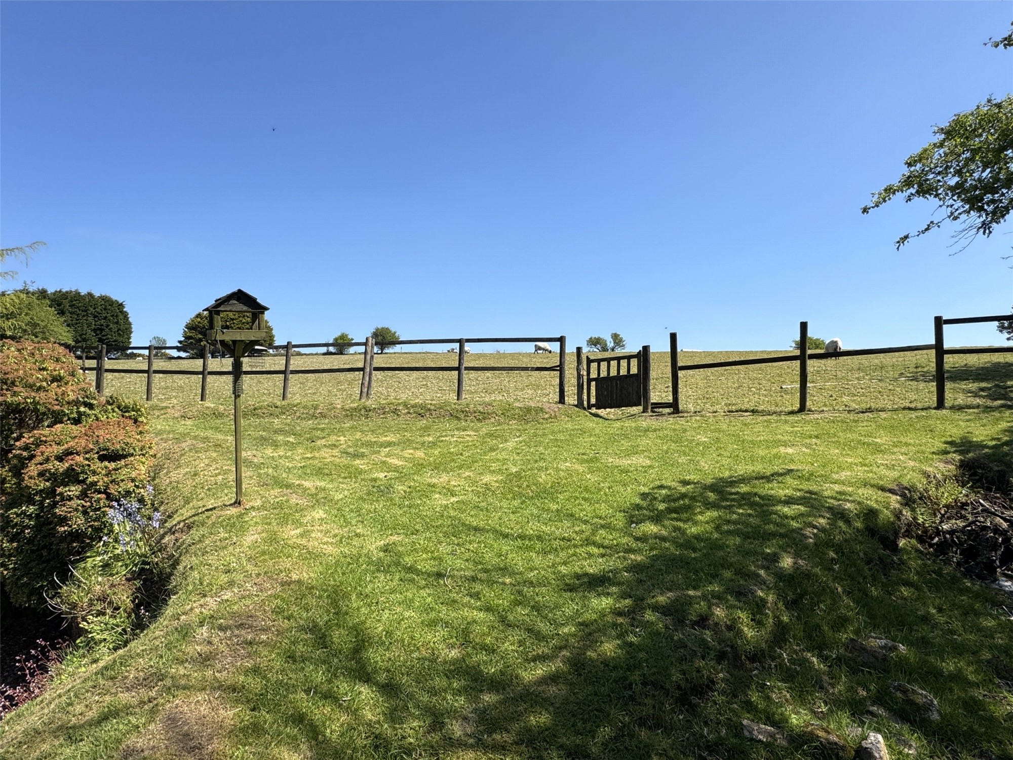 Warleggan, Mount, Bodmin image 23
