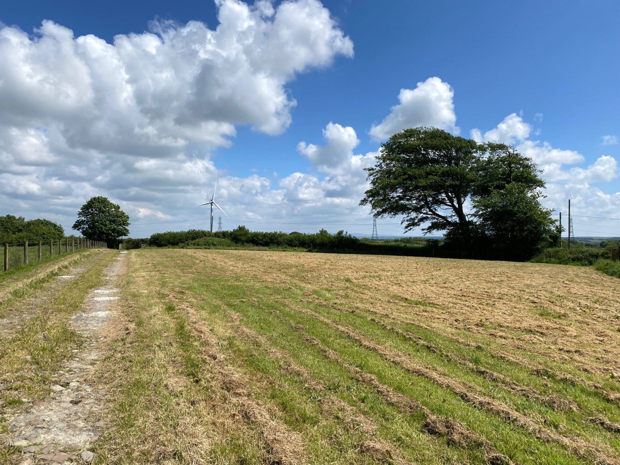 Sutcombe, Holsworthy, Devon image 15