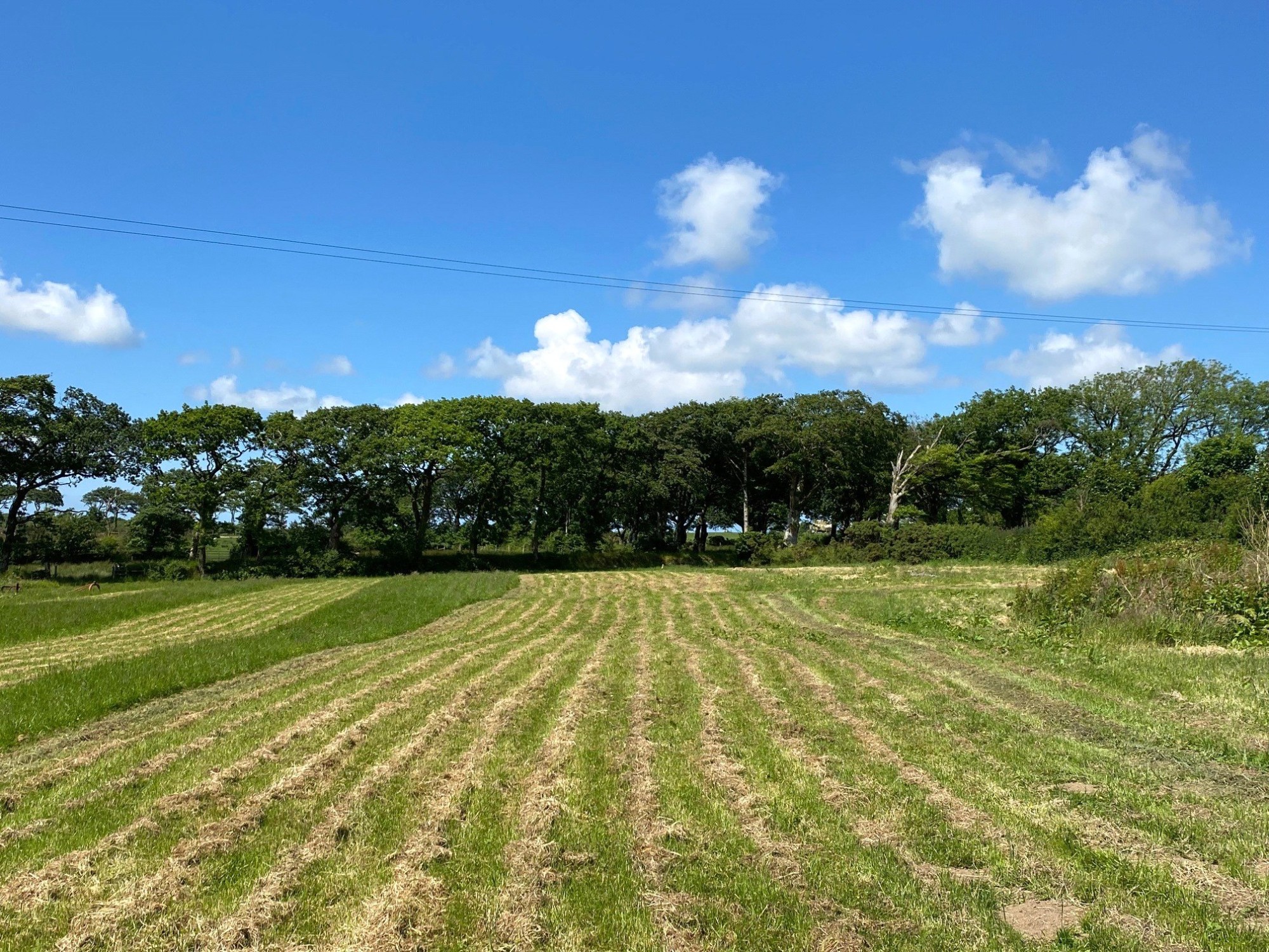 Sutcombe, Holsworthy, Devon image 4
