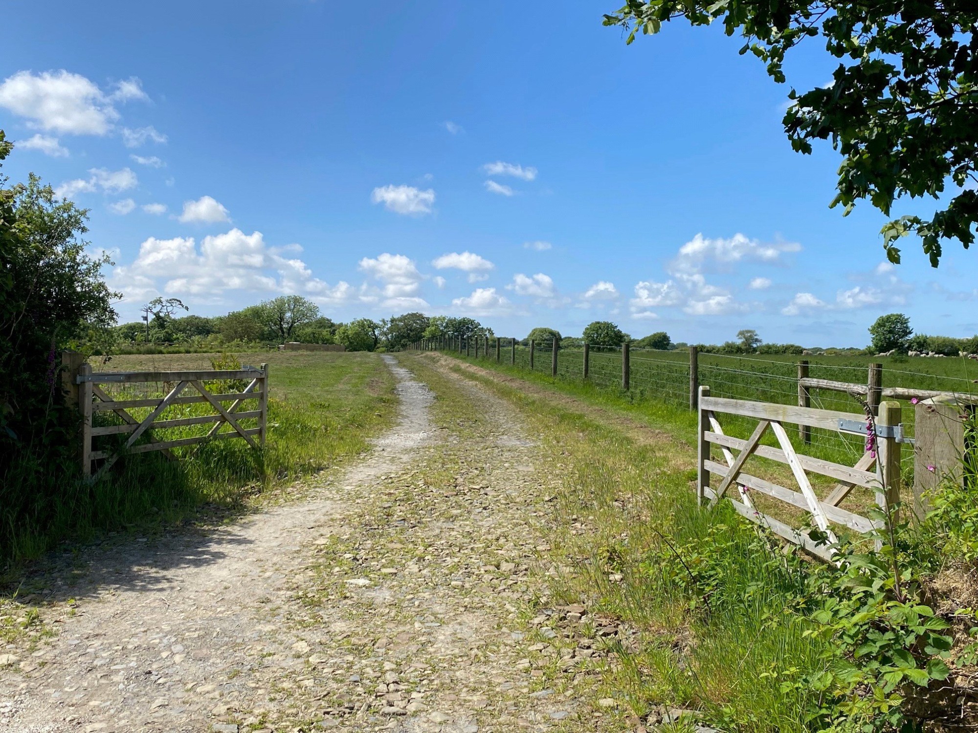 Sutcombe, Holsworthy, Devon image 7