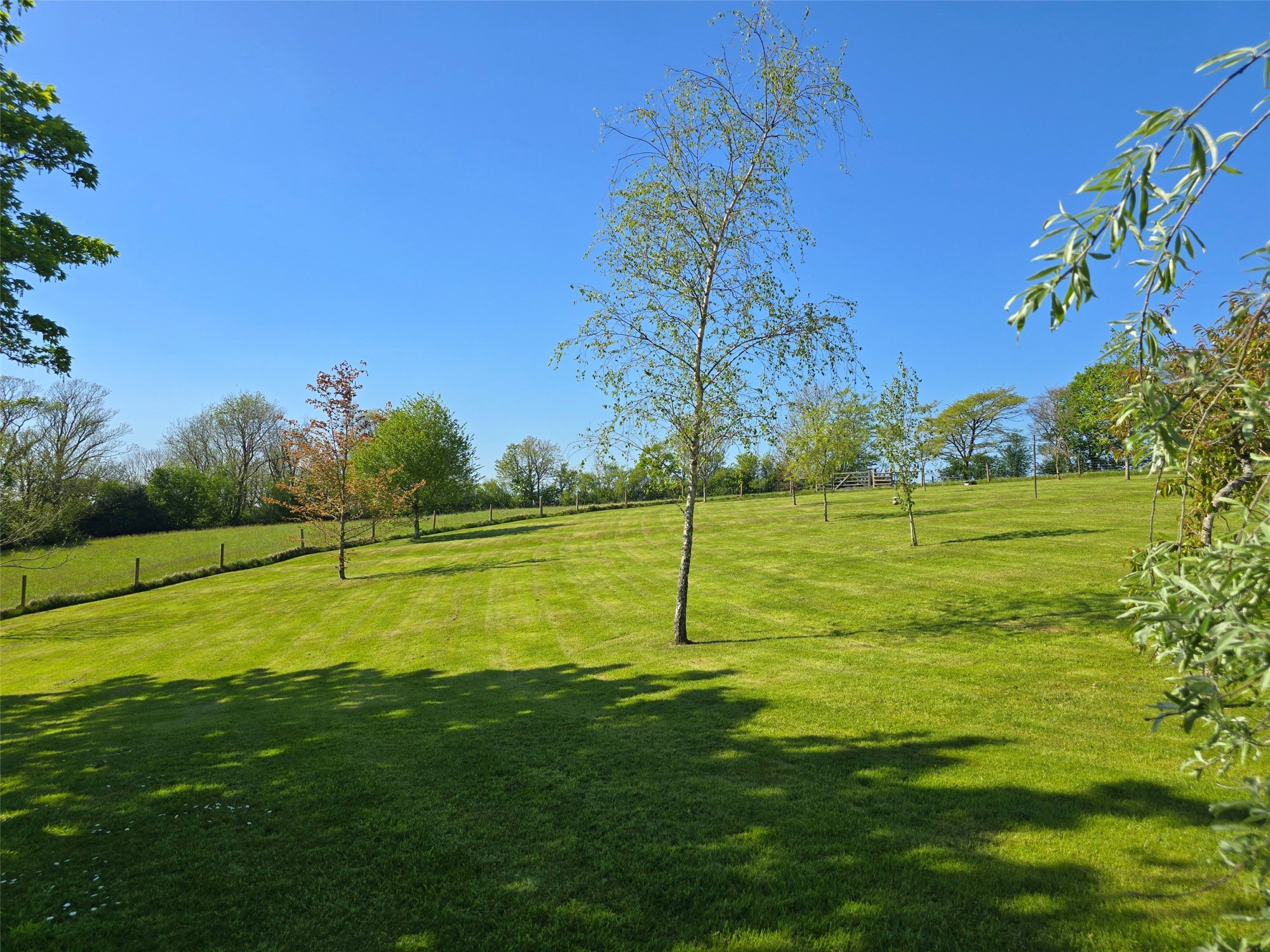 Chasty, Holsworthy, Devon image 33
