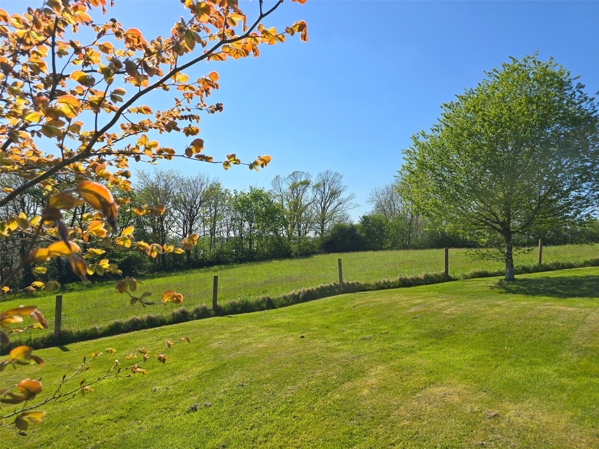 Chasty, Holsworthy, Devon image 34