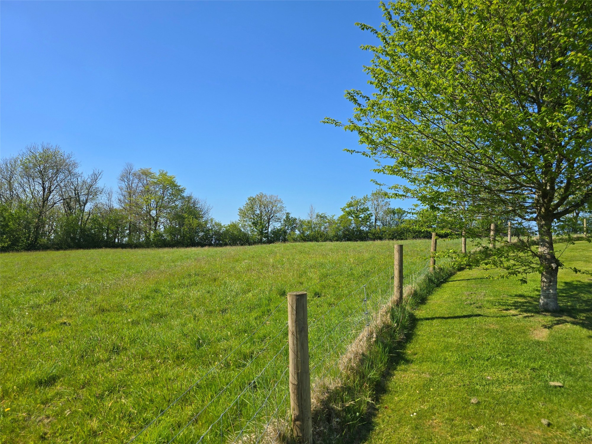 Chasty, Holsworthy, Devon image 35
