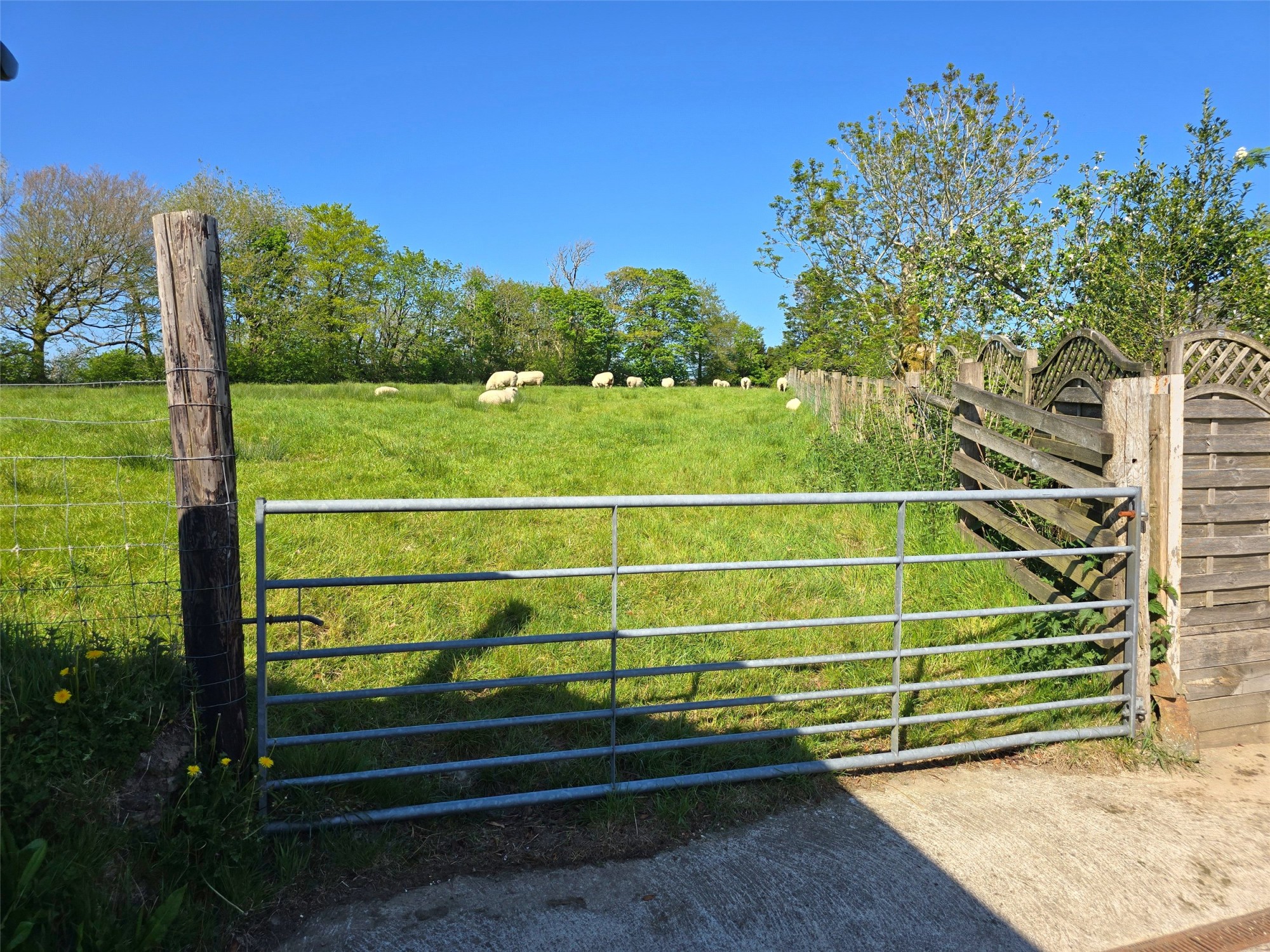 Chasty, Holsworthy, Devon image 36