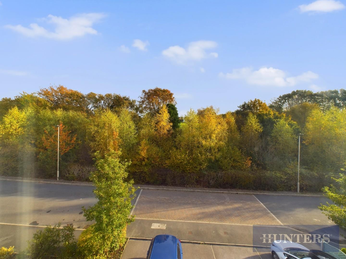 Bramble Way, Scarborough image 13