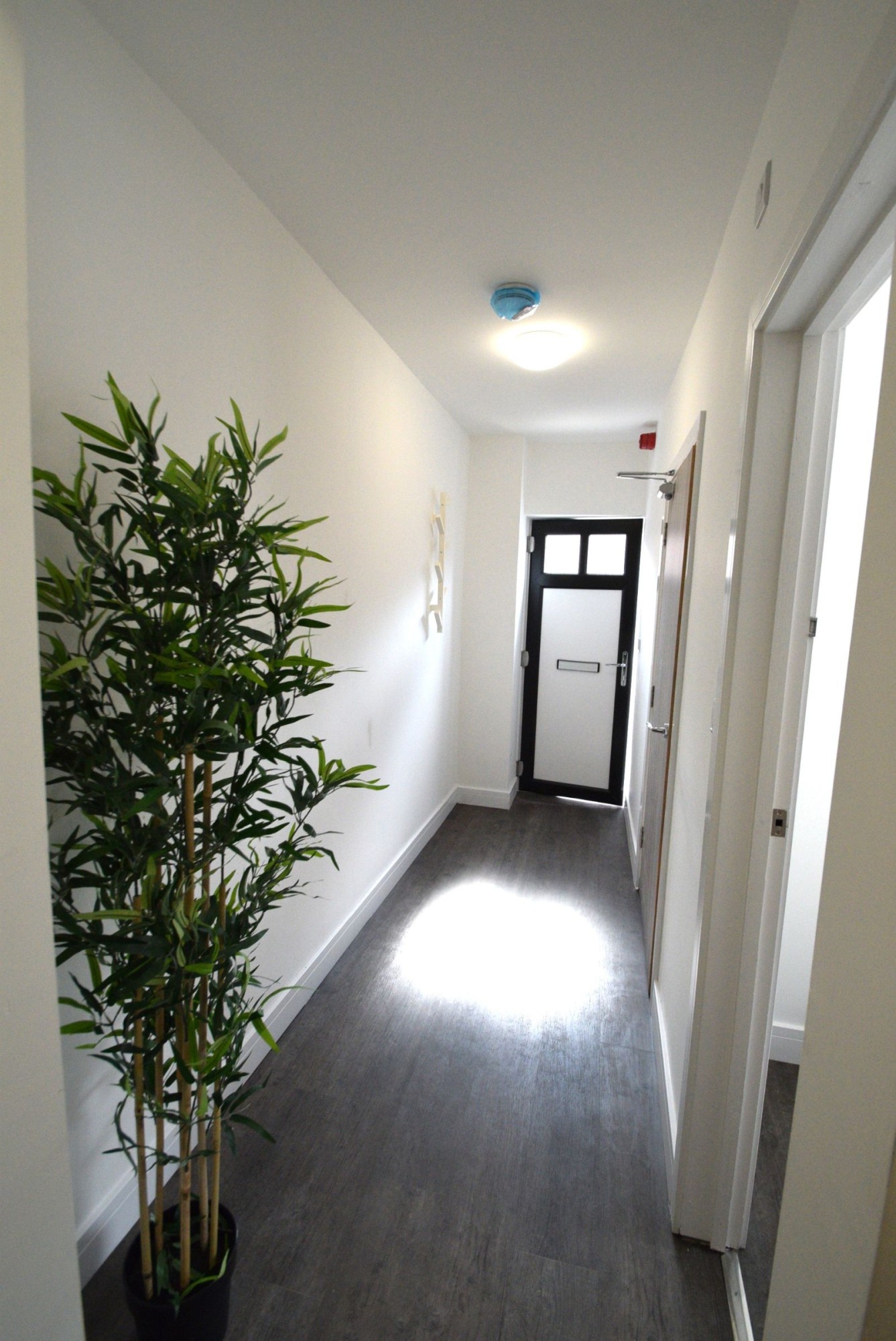 Studio 4 313a Ecclesall Road, Ecclesall image 6