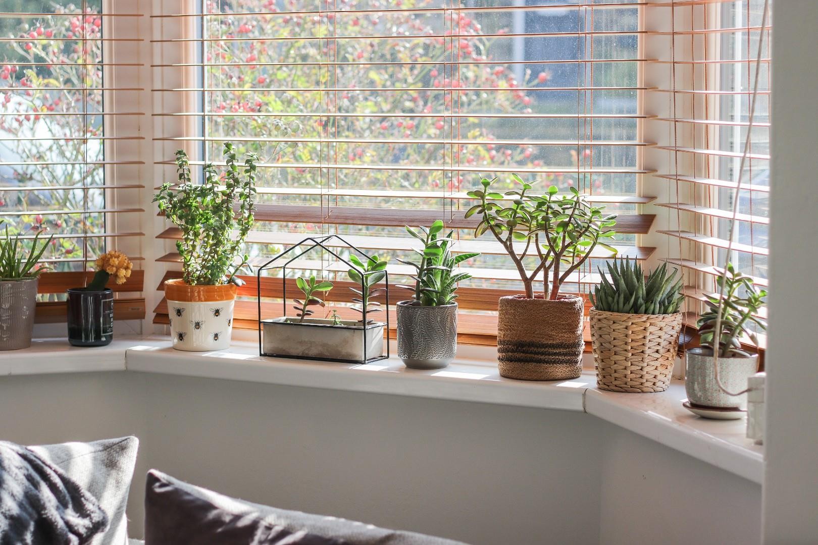 Walkley Crescent Road, Walkley, Sheffield image 11