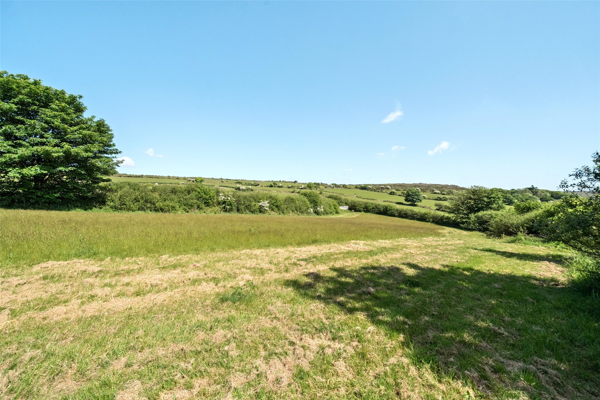 Cassacawn, Blisland, Bodmin image 7