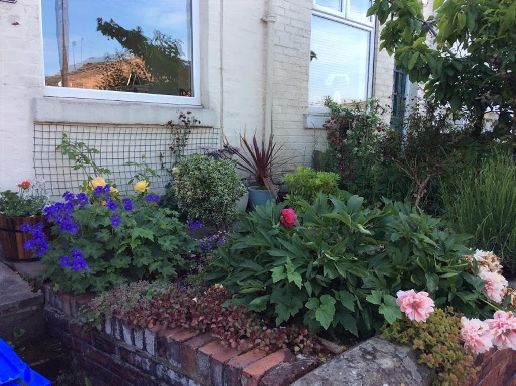 Compton Street, Walkley, Sheffield, S6 5BP image 8