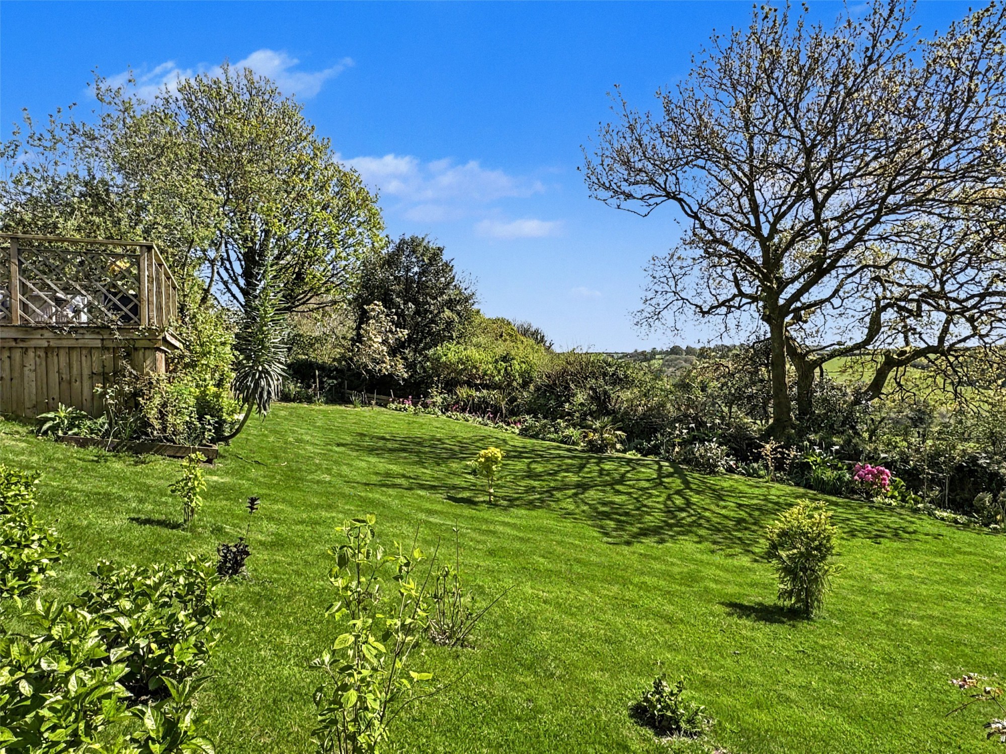Cassacawn, Blisland, Bodmin image 15