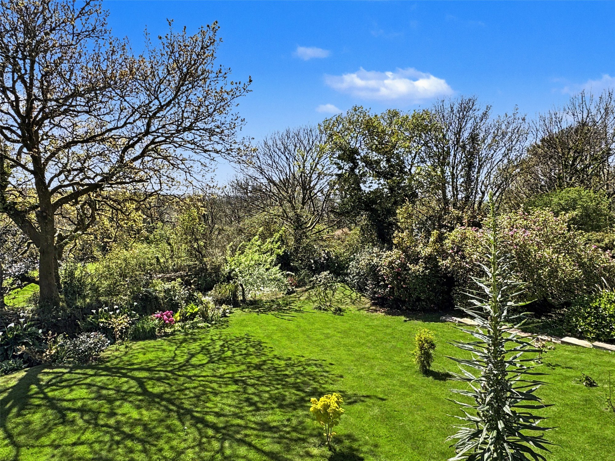 Cassacawn, Blisland, Bodmin image 16
