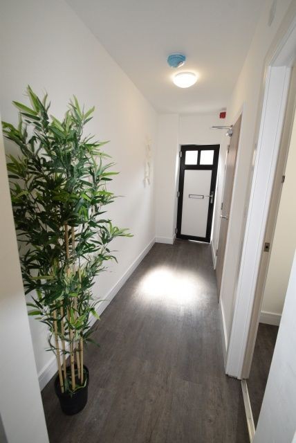 Flat 2 313a Ecclesall Road, Ecclesall image 12