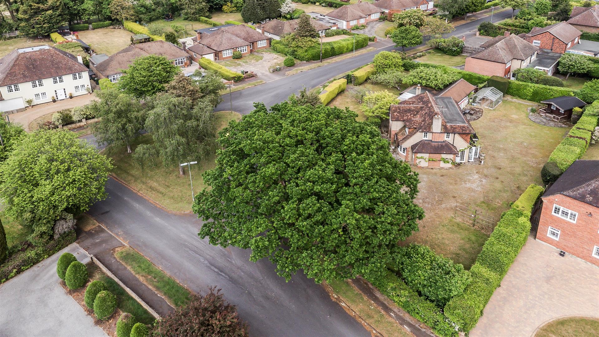 Gilhams Avenue, Banstead image 25