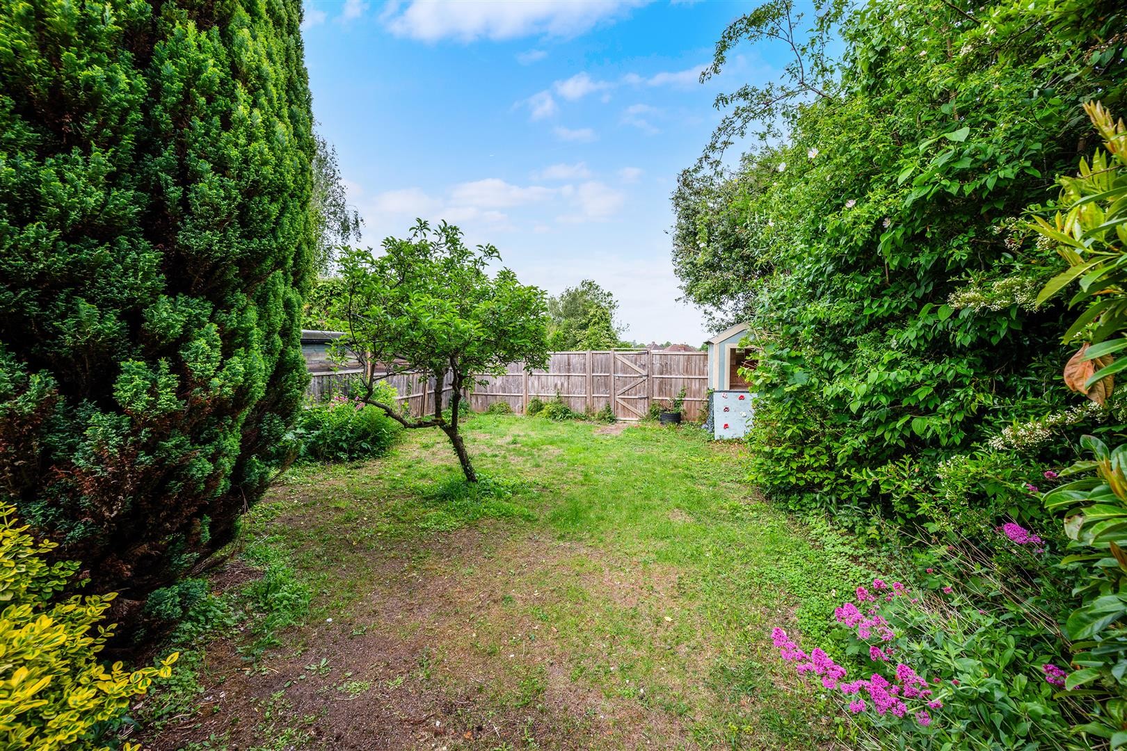 Roundwood View, Banstead image 18