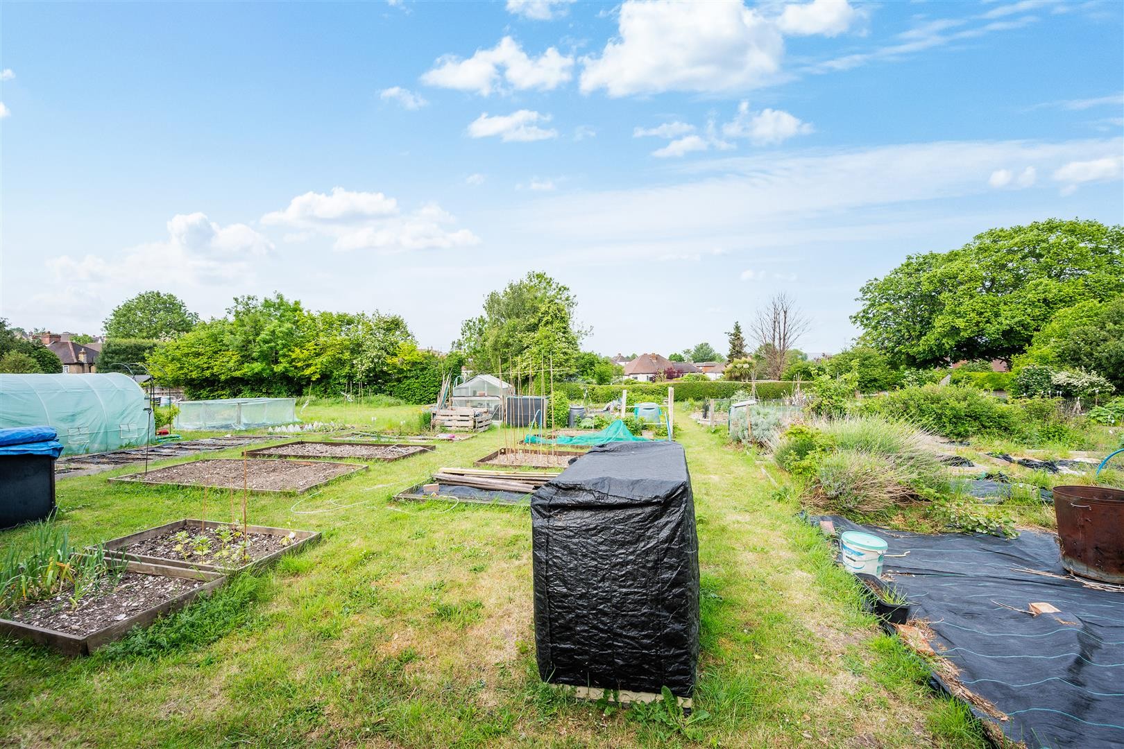 Roundwood View, Banstead image 19