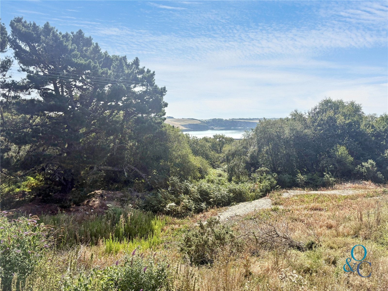 Polkerris Parc, Par, Cornwall image 14